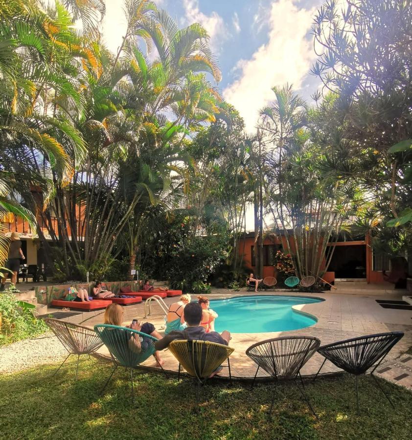 Costa Rica Backpackers Vandrerhjem San Jose  Eksteriør bilde