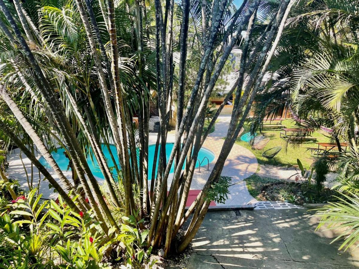 Costa Rica Backpackers Vandrerhjem San Jose  Eksteriør bilde