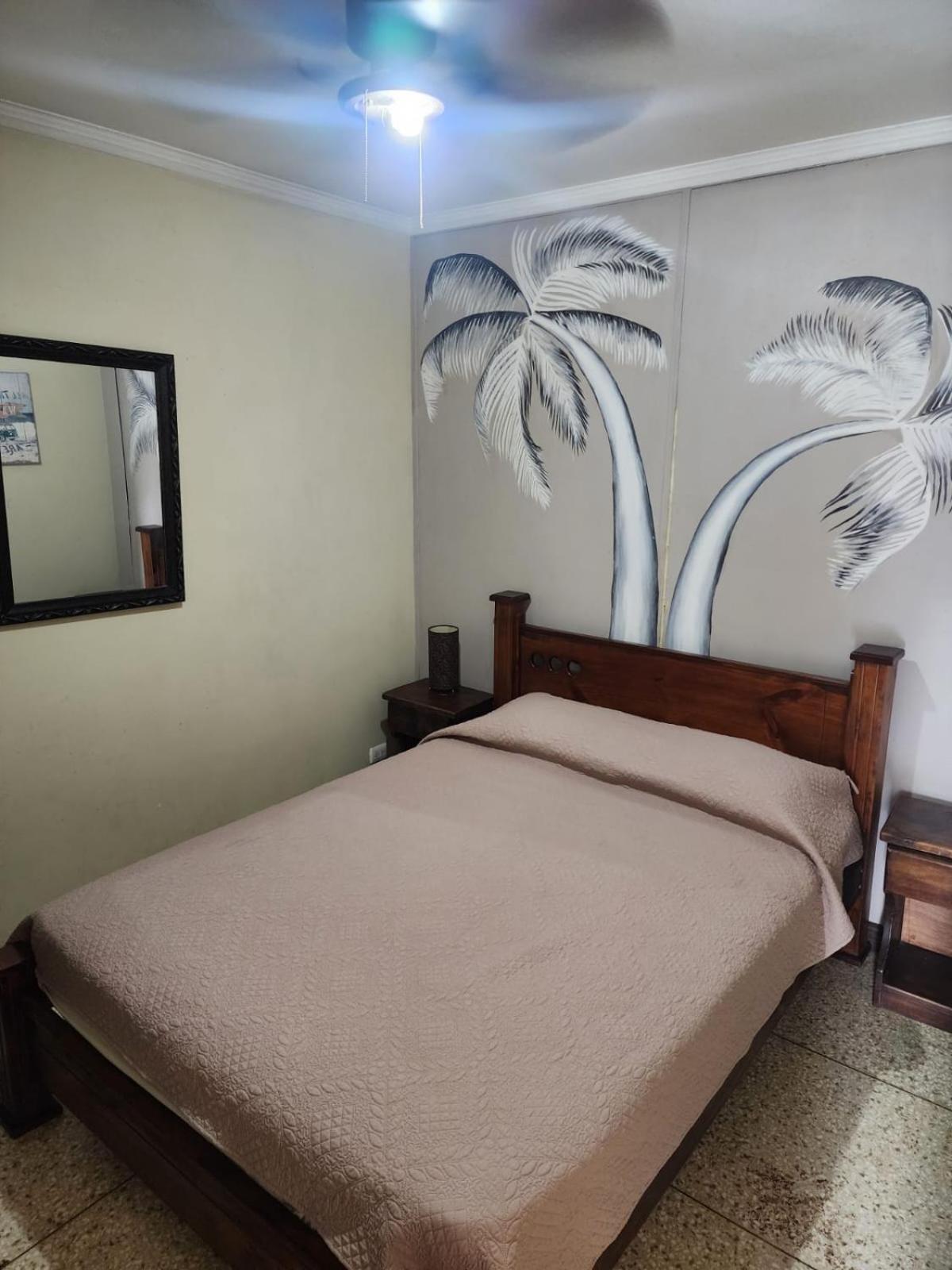 Costa Rica Backpackers Vandrerhjem San Jose  Eksteriør bilde