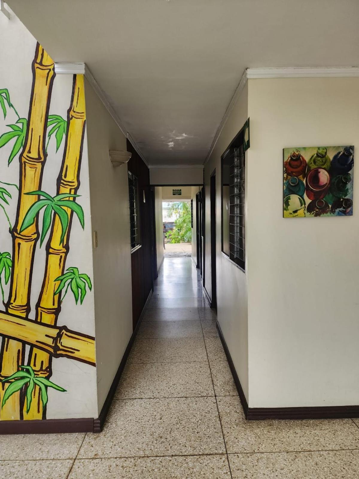 Costa Rica Backpackers Vandrerhjem San Jose  Eksteriør bilde