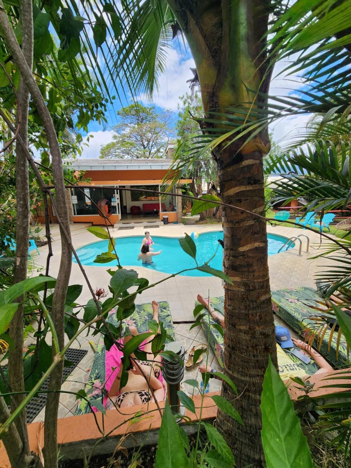 Costa Rica Backpackers Vandrerhjem San Jose  Eksteriør bilde