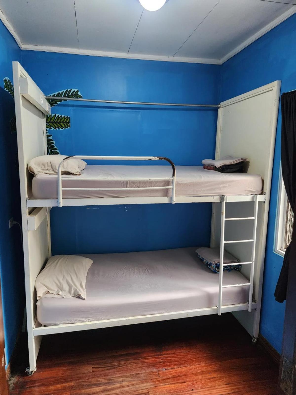 Costa Rica Backpackers Vandrerhjem San Jose  Rom bilde