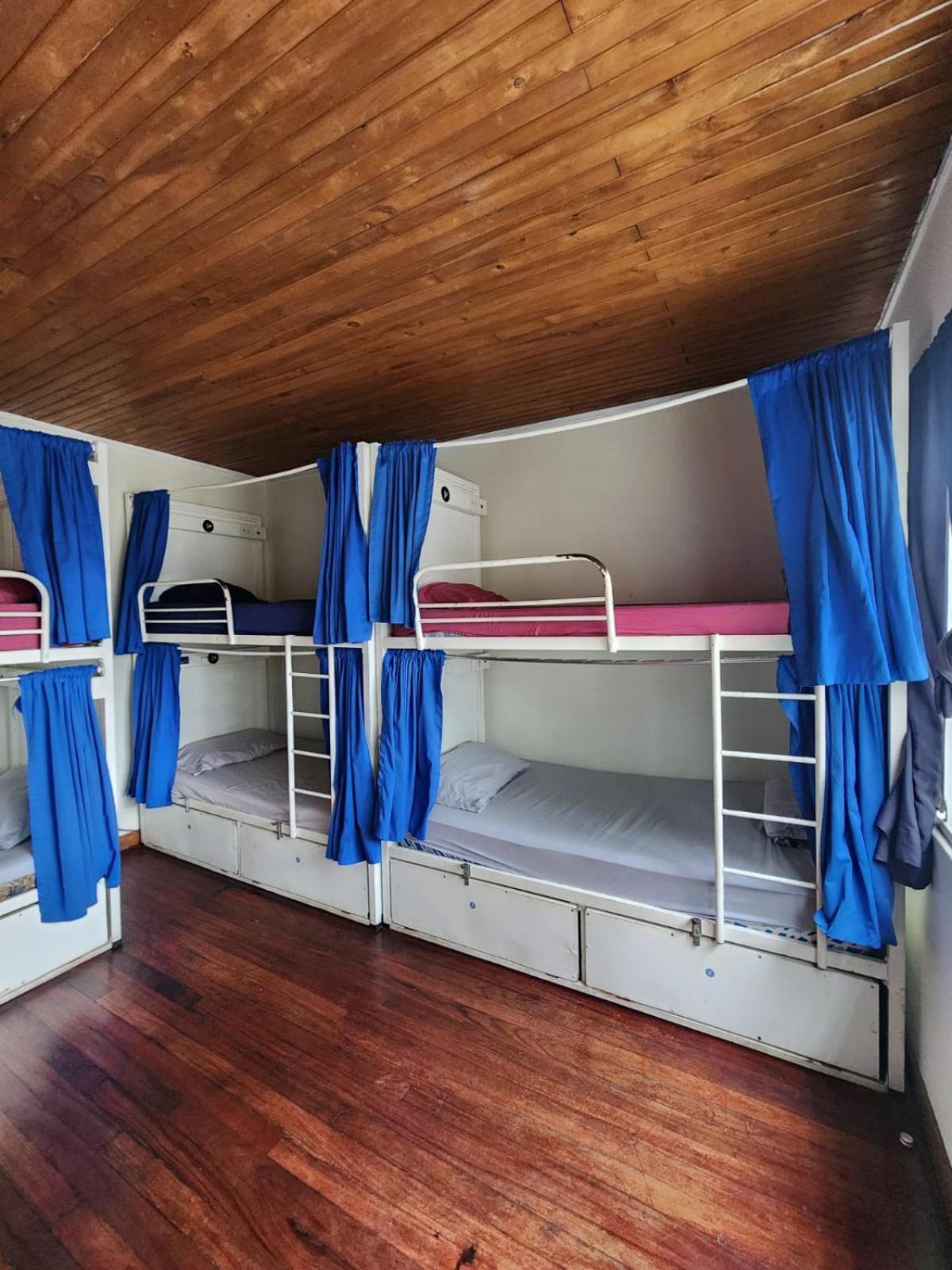 Costa Rica Backpackers Vandrerhjem San Jose  Rom bilde
