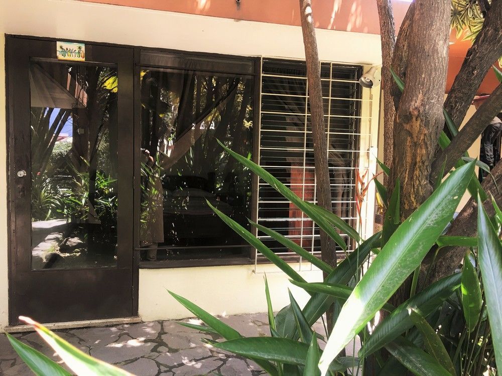 Costa Rica Backpackers Vandrerhjem San Jose  Eksteriør bilde